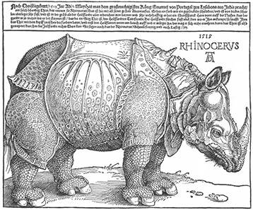 Rhinocerus by Albrecht Dürer, 1515. Source: Wikipedia.