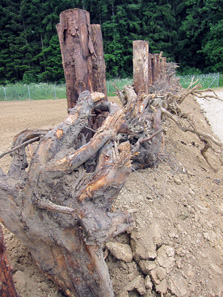 Earth wall around the monastic area. Photograph: KW.