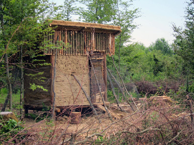 The hen house. Photograph: KW.