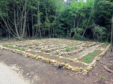 Little herb garden. Photograph: KW.