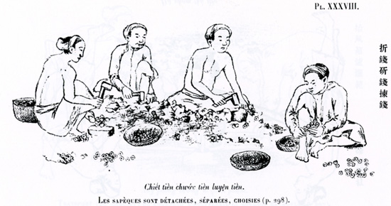 The cash coins are counted and strung together on slings by which they became easy to handle. From A. Schroeder-Annam, Études numismatiques, Paris (1905), pl. 40.
