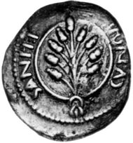 Amminus' coins are so like Cunobelinus' coins (left) that he must be the historical Adminius (right). Photo: Chris Rudd.