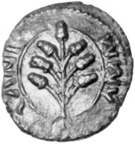 Amminus' coins are so like Cunobelinus' coins (left) that he must be the historical Adminius (right). Photo: Chris Rudd.