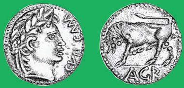 Agr bronze unit struck at Camulodunon, c.AD 25-30. Before Amminus began ruling in Kent? © Jane Bottomley.