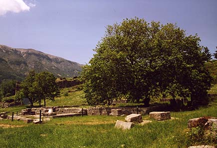 Sacred oak of Zeus in Dodona / Epirus (Northern Greece); of course, it is a new planting where archaeologists suppose the tree originally was located.