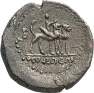CYPRUS. Cleopatra VII, 50-31. AE, 36/5, Orthosia. RPC 4501. From auction sale Künker, Osnabrück 133 (2007), 8276.