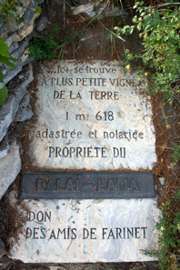 This slab indicates the world's smallest vineyard measuring 1.618 square metres and gives its current owner, the Dalai Lama. Photo: Ludovic Péron / http://creativecommons.org/licenses/by-sa/3.0/deed.en.