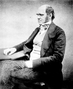 Charles Darwin in 1859 or 1860. Darwin developed the theory of evolution by selection. Photo: Wikicommons.