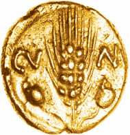 CVNO/DVBN gold quarter stater, c.AD 43, ABC 3008. Only three others recorded. Found by Tom Lesurf at Bourne End, Beds., 5 October 2013. It was sold 13 January 2014 for 10,200 GBP. Photo: Elizabeth Cottam & Chris Rudd.