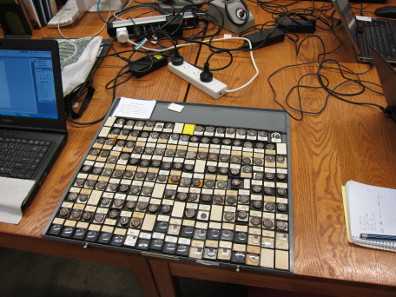 Coin tray with archaic Athenian coins. Photo: UK.