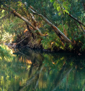 River Jordan/ Wikipedia.