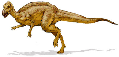 Drawing of a 'Zalmoxes robustus'.
