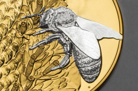 Possible thanks to the latest technology: Micro-relief of bee and pollen in minute detail.