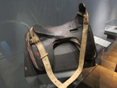 Saddle with girth. Photo: UK.