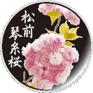 A special silver medal featuring the Blossom of the Year.