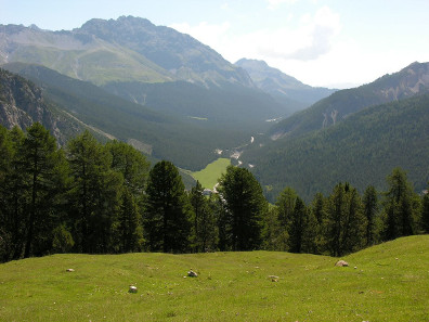 The Swiss National Park. Photo: Hansueli Krapf / http://creativecommons.org/licenses/by-sa/2.5-2.0-1.0