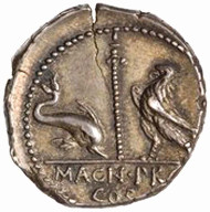 Pompey the Great silver denarius, 49-48 BC. Prototype of Vodenos Dragons obverse? Source: American Numismatic Society.