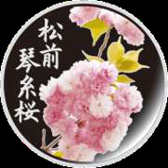 The special silver medal featuring the Blossom of the Year.