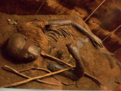 The Windeby Girl. Museum Schloss Gottorf, Schleswig. Photo: Commander-pirx / Wikipedia.