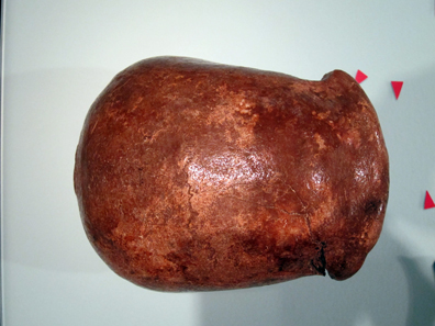 Skullcap of the Neanderthal skeleton. Photo: KW.