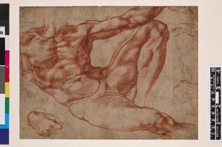Studies of a reclining male nude: Adam in the fresco 'The Creation of Man' on the vault of the Sistine Chapel. c. 1511 Dark red chalk over some stylus underdrawing (left calf and elsewhere). Michelangelo. © The Trustees of the British Museum.