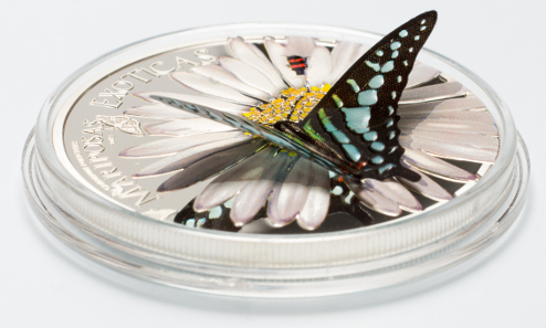 Graphium policenes from the Papilionidae family.