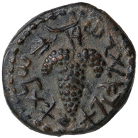 The Second Jewish Rebellion. Bronze coin, minted in Jerusalem, year 1 (AD 132). Obverse: palm tree; Paleo-Hebrew: Eleazar, the High Priest. Reverse: grapes; Paleo-Hebrew: year 1 of the deliverance of Israel. © Israel Museum, Jerusalem.