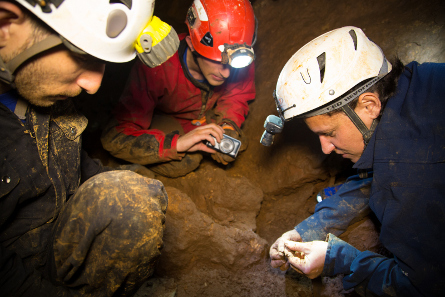 Officials of the Israel Antiquities Authority and members of the Israeli Caving Club search for finds in the cave. Photograph: Shmuel Magal. Courtesy of the Israel Antiquities Authority.