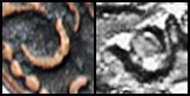 Fig. 3 and 4: The C - on the left the Paduan - and on the right the original