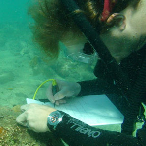 Fritz Hanselmann, PhD student in anthropology at Indiana University documenting one of the 'big cannons' as described by Captain Kidd.