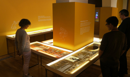 The exhibition in Casa Masó shows nearly 400 medals. © Jordi Puig / Fundació Rafael Masó.