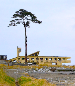 The collapsed Rikuzentakata Youth Hostel and the Miracle Pine Tree, the sole survivor of about 70,000 pine trees in Rikuzentakata, Iwate, after the 2011 East Japan Great Earthquake and its tsunami. Photograph: Jacob Ehnmark / https://creativecommons.org/licenses/by/2.0/deed.en.