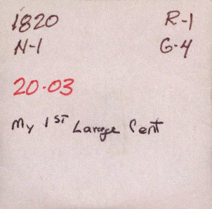 Coin flip written by the collector.
