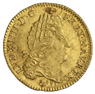 Louis XIV, King of France (1643-1715). Louis d'or 1693, La Rochelle. Head of Louis, to the right. R. Crowned arms with fleur-de-lis. © MoneyMuseum, Zurich.