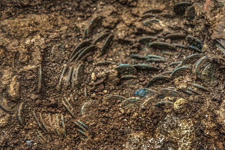 Discovery of the Ueken coin trove. Parts of the coin hoard were buried in the ground, stored in pouches made of leather or fabric. © Canton of Aargau. Photograph: Béla Polyvŕs.