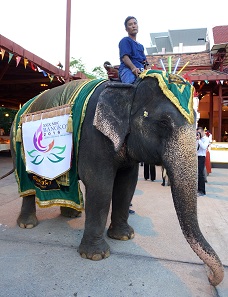 An elephant welcomes the attendees of the MDC - on his back, he carries the logo of the 29th Mint Directors Conference. Photograph: UK.