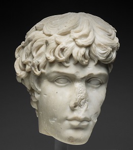 Fragment of a Portrait Head of Antinous, mid-2nd century A.D. Roman. Gift of Mrs. Charles L. Hutchinson.