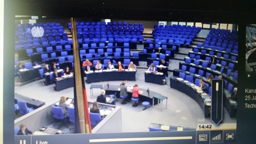 Screenshot from the live broadcasting of the amendment of the Cultural Property Protection Act.