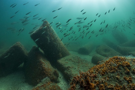 The ruins of antique Canopus were located at some 2km east of the western fringe of the Nile delta, in Aboukir Bay. © Franck Goddio / Hilti Foundation - Photo: Christoph Gerigk.