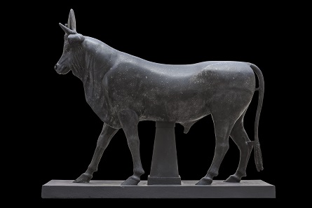 Apis Bull, Greco-Roman Museum, Alexandria (GRM 351). © Franck Goddio / Hilti Foundation - Photo: Christoph Gerigk.