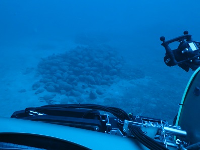 ROV approaches amphora Photo: © Soprintendenza per i Beni culturali e ambientali del Mare, Palermo.