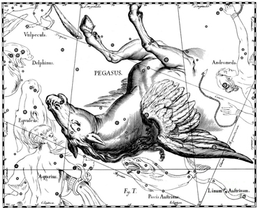 Pegasus constellation from Johannes Hevelius' Prodromus astronomiae, Firmamentum Sobiescianum, sive Uranographia, 1687.