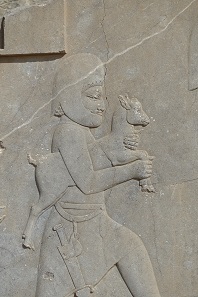 Carrier with gift on the staircase leading to the Palace of Darius. Photo: KW.