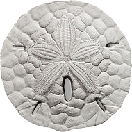 Palau / 1 Dollar / Silver .999 / 1 oz / 50 mm / Mintage: 2017.