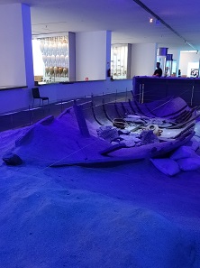 One of the Phoenician wrecks found near Mazarrón. Photo: KW.