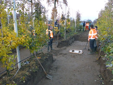 Archaeologists further excavate the find site in November 2016.