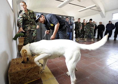 Dogs are soon being trained to detect ancient objects, in a similar fashion as this drug detection dog of the US Navy. Photo: Wikipedia.