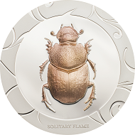 Scarab Selection II – Solitary Flame.
