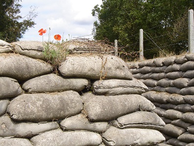 Communication trench with poppies in East Flanders. Photo: LimoWreck / Wikimedia Commons / CC BY-SA 3.0.