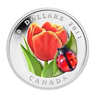 Canada - 20 CAD - 999silver - 31.39 g - 38 mm - Design: Giuliano Donnagio (ladybug) (reverse), Susanna Blunt (obverse) - Mintage: 5,000.